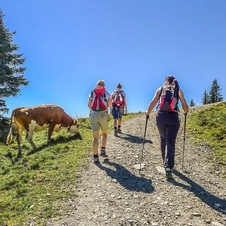 In Brixen Near Wilder Kaiser Gondola Brixen im Thale