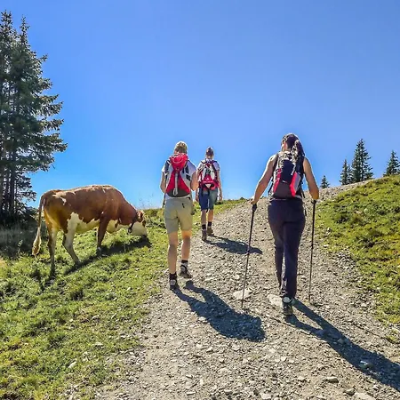 In Brixen Near Wilder Kaiser Gondola *